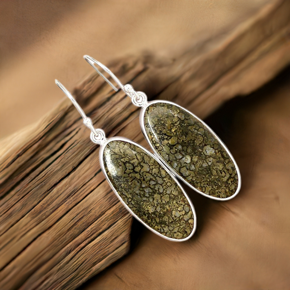 Natural dinosaur bone Gemstone Earrings In 925 Sterling Silver Jewelry 925SE2839