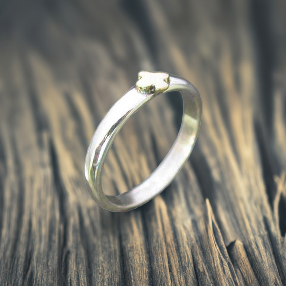 Plain 925 Solid Silver Rings Jewelry 925SR2467